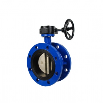 Worm flange butterfly valve