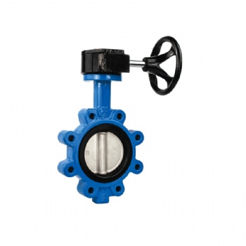 Lug type butterfly valve